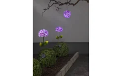 Star Trading Solcellspinne Hortensia 77cm Rosa* Solcellslampor Stig & Mark|Visa Alla Solcellslampor