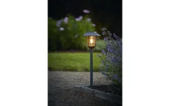 Solcellslampor Stig & Mark|Visa Alla Solcellslampor<Star Trading Solcells-pollare Filippa 50cm Grafit