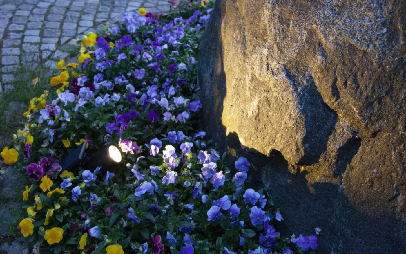 Solcells-spotlight Powerspot 50lm Varmvit Svart