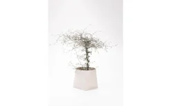 Markslojd Somma Kruka Grå 20 cm* Vaser & Blomkrukor