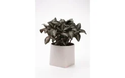 Somma Kruka Grå 14 cm