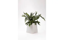 Vaser & Blomkrukor<Markslojd Somma Kruka Grå 31 cm