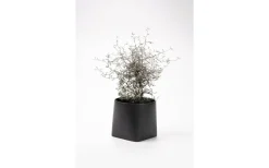 Somma Kruka Svart 14 cm