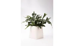 Markslojd Somma Kruka Vit 31 cm* Vaser & Blomkrukor