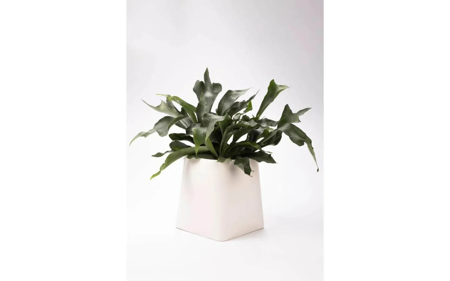 Markslojd Somma Kruka Vit 31 cm* Vaser & Blomkrukor