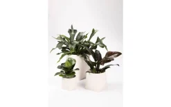 Markslojd Somma Kruka Vit 31 cm* Vaser & Blomkrukor