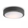 Taklampor Utomhus<Rendl Sonny Plafond 28cm 2L Antracitgrå IP54