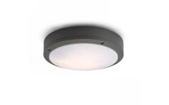 Taklampor Utomhus<Rendl Sonny Plafond 28cm 2L Antracitgrå IP54