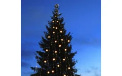 Star Trading Stamkabel System 24 0,7m 5 Kopplingar* System 24 Startrading