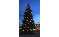 Star Trading Stamkabel System 24 0,7m 5 Kopplingar* System 24 Startrading