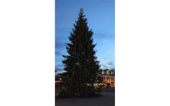 Star Trading Stamkabel System 24 0,7m 5 Kopplingar* System 24 Startrading