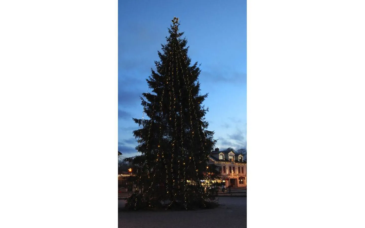 Star Trading Stamkabel System 24 0,7m 5 Kopplingar* System 24 Startrading