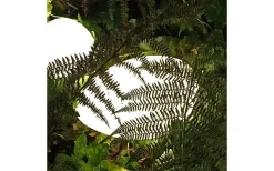 Lightson Stone 25cm LED 90lm 2W* Lightson Garden Plug & Play