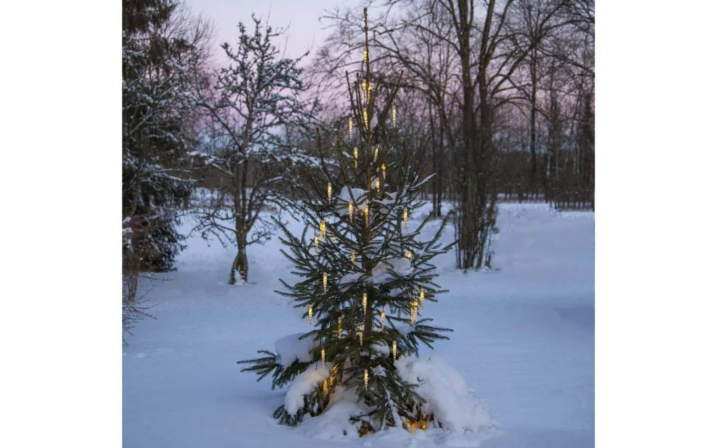 System Decor Startrading<Star Trading System Decor Transformator START 24V DC Max 12W IP44