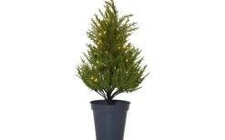 Star Trading Thuja Dekorationsträd 55cm Grön* Batteri Julpynt Inomhus