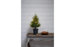 Star Trading Thuja Dekorationsträd 55cm Grön* Batteri Julpynt Inomhus