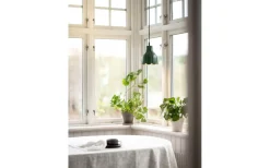 Tulippa Fönsterlampa Ø17cm Grön