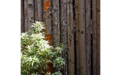 Lightson Twiggy Dekorationskvist 2-Pack LED* Lightson Garden Plug & Play