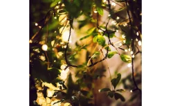 Lightson Garden Plug & Play<Lightson Twinky Ljusslinga 20m LED, Plug and Play