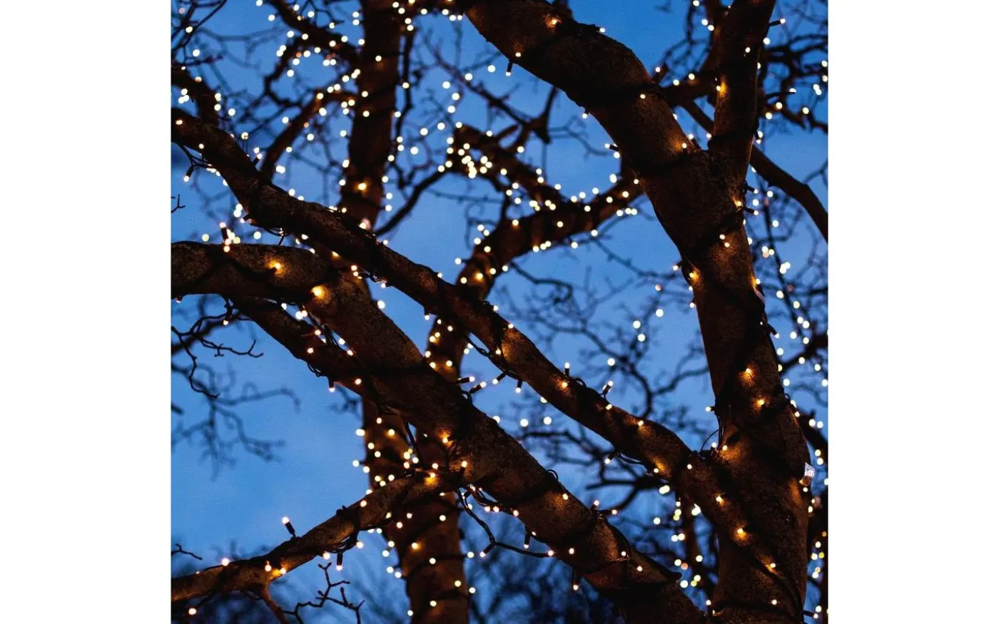 Twinky PRO Ljusslinga 10m LED, Lightson Plug and Play