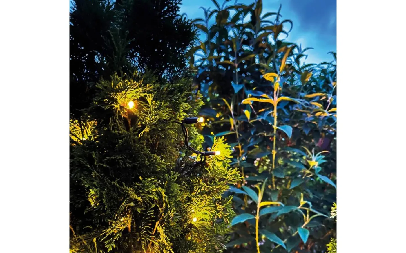 Twinky PRO Ljusslinga 10m LED, Lightson Plug and Play