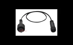 Övergång till Sken 10cm Gammal Hane till Ny Hona