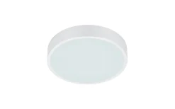 Plafonder<Trio Lighting Waco Plafond LED 30cm mattvit