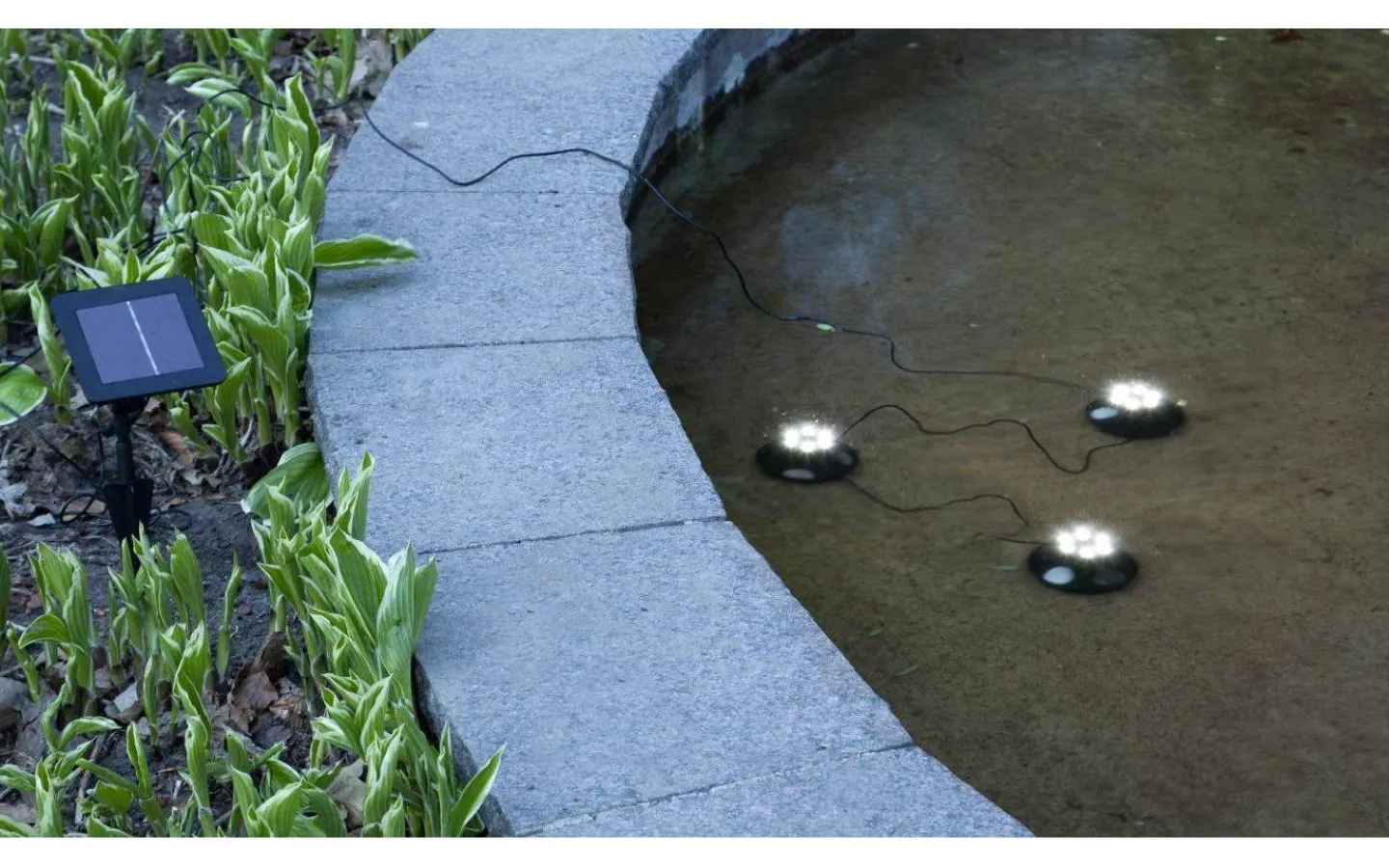 Star Trading Water Light Solcellslampa 7cm Svart* Visa Alla Solcellslampor