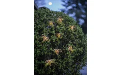 Star Trading Wings Solcellsslinga 2,1m Brons* Solcellslampor Dekoration|Visa Alla Solcellslampor