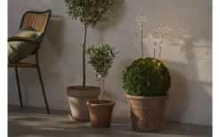 Star Trading Wizard Star Batteridriven Utomhusdekoration Svart* Batteri Julpynt Utomhus