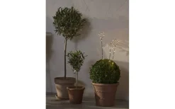 Star Trading Wizard Star Batteridriven Utomhusdekoration Svart* Batteri Julpynt Utomhus