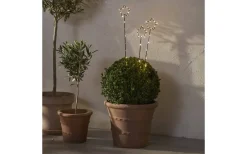 Star Trading Wizard Star Batteridriven Utomhusdekoration Svart* Batteri Julpynt Utomhus