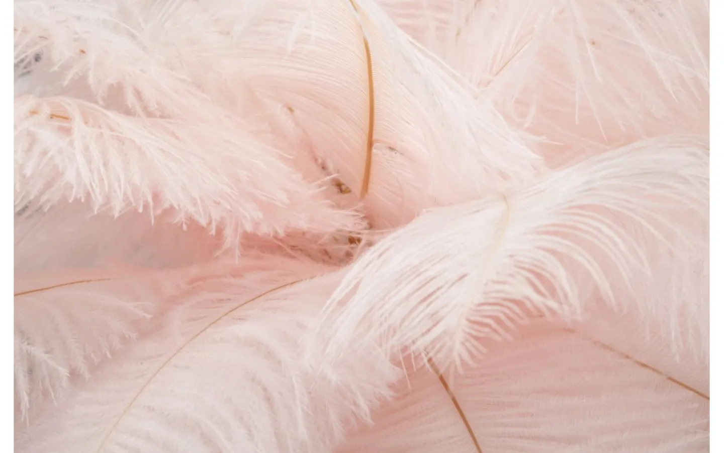 Bordslampor<Mauro Ferretti Yoga Bordslampa Palm 55cm Rosa/Guld