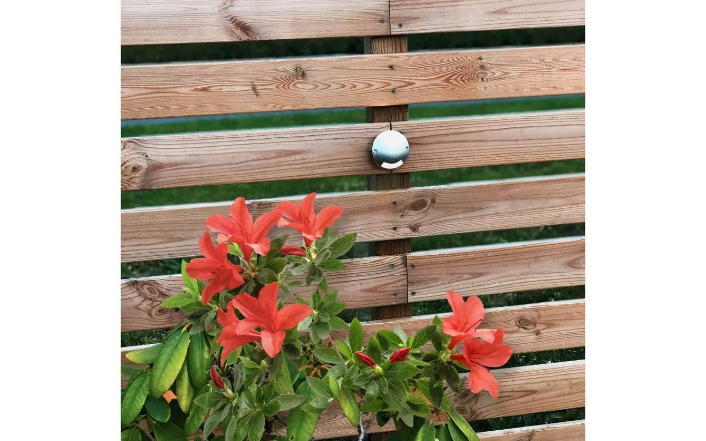 Decklights Led|Lightson Garden Plug & Play<Lightson Zenit LED 3000K 20lm 0,5W