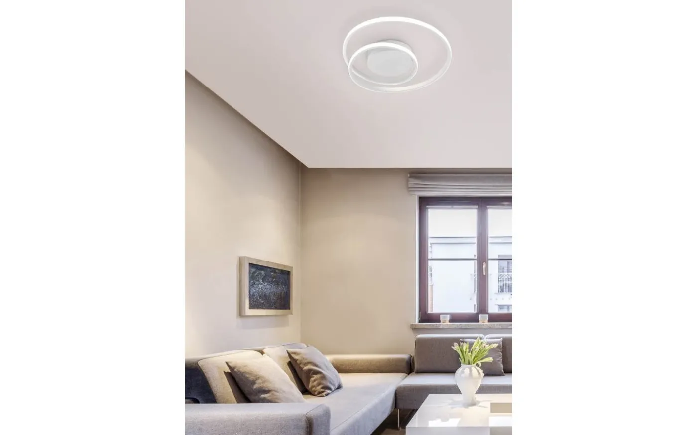 Zibal Plafond LED mattvit