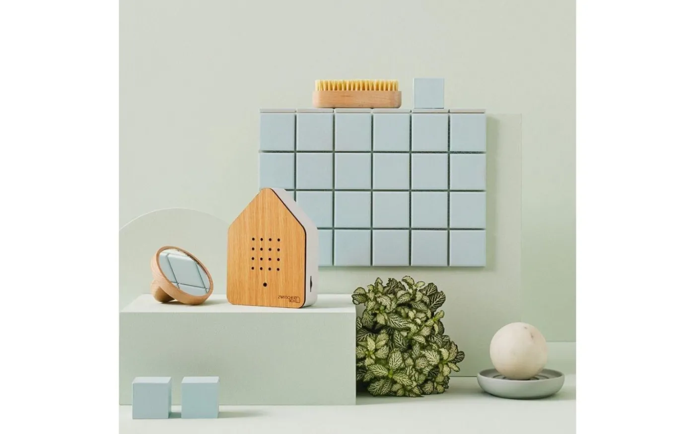 Zwitscherbox Speldosa Fågelkvitter Ek